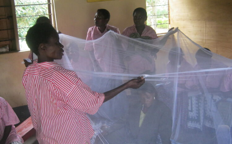  Malaria Prevention